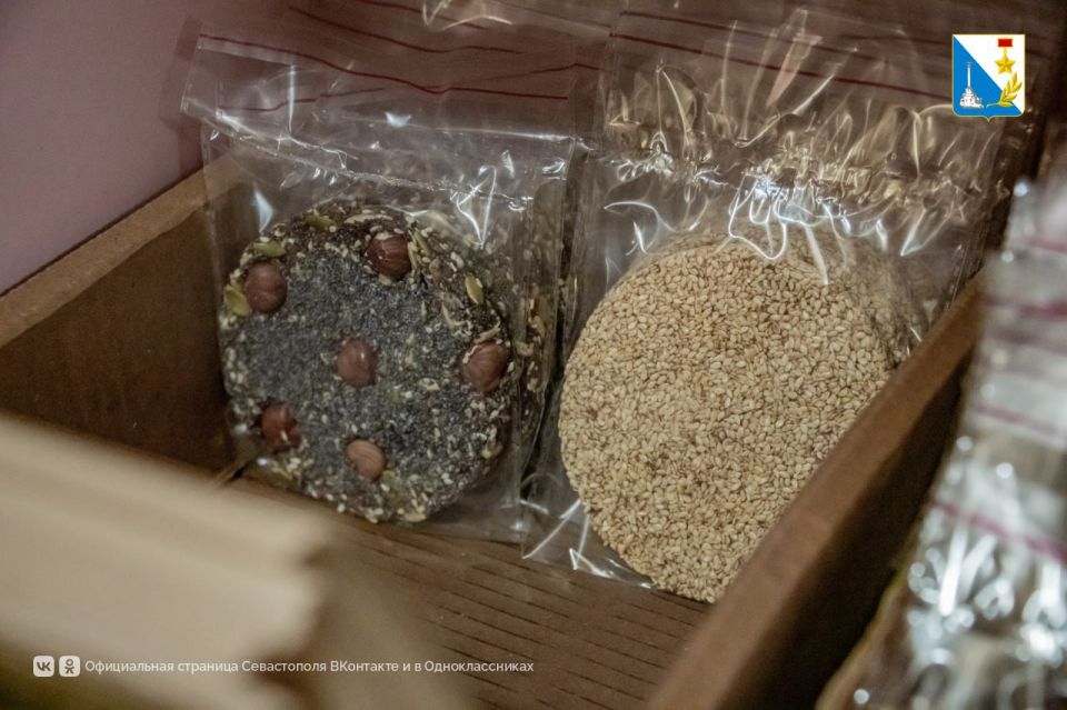 ��������������� ������������� ��������� ������� ������ ���������� �������� � �������������