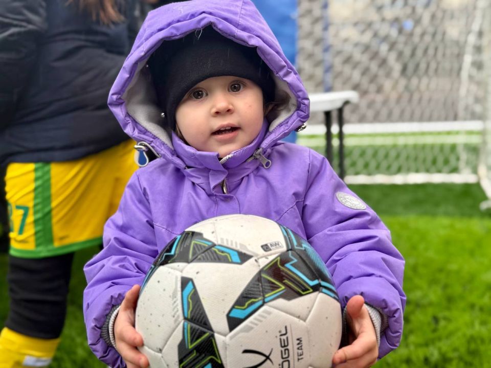 ���������� �����������: ���������� �������� ����������� ����������� ���� ������-���������� ������ �� ����������� � ������