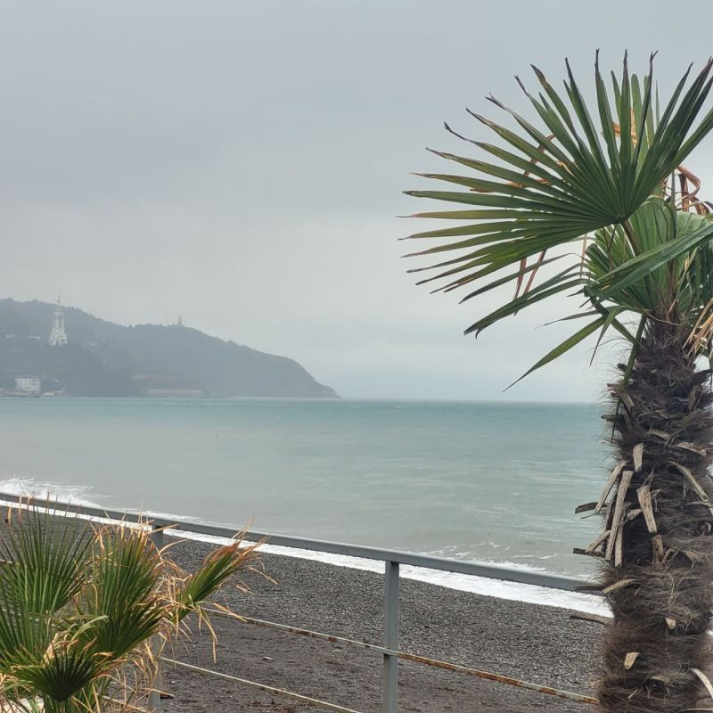 Галина Огнёва: Доброе утро!. Иногда нужно просто остановиться, сделать глубокий вдох и посмотреть на горизонт