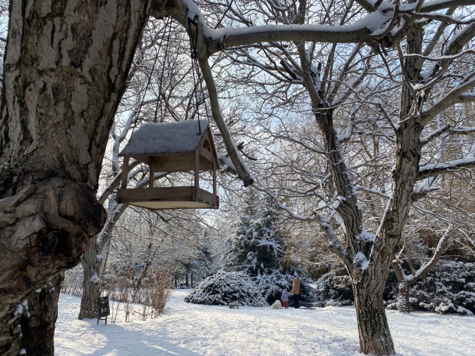 Прогноз погоды в Крыму на 24 января