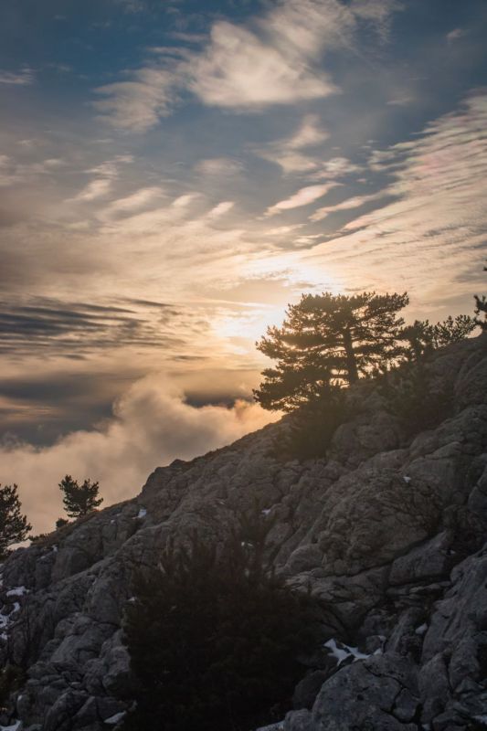 ���������� ������������ ������� �� ��������� ����