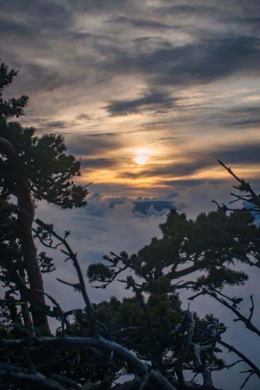 ���������� ������������ ������� �� ��������� ����