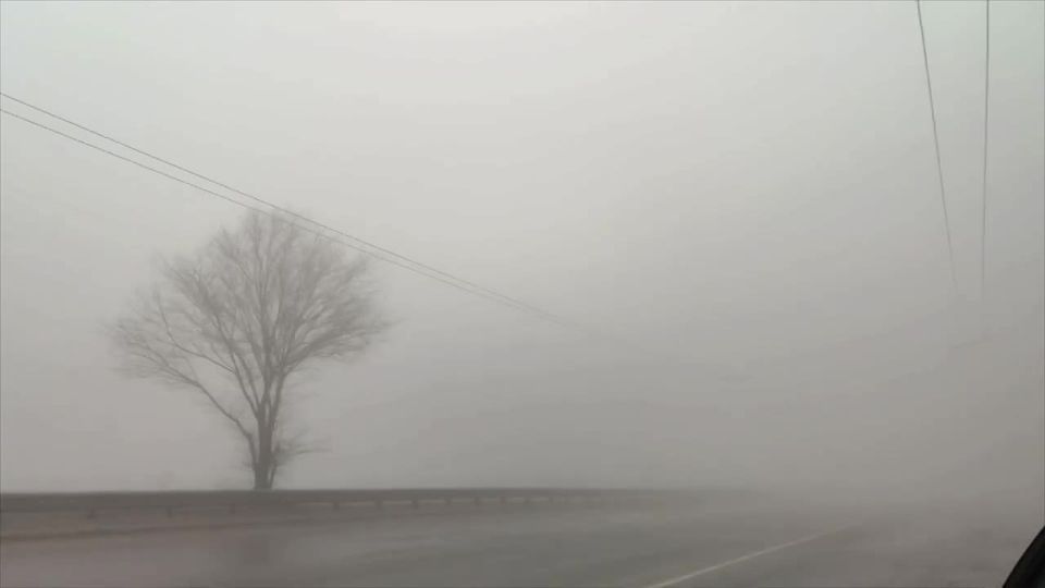 ��� ����� ������ ��������� �� ������ � ���������� ��������