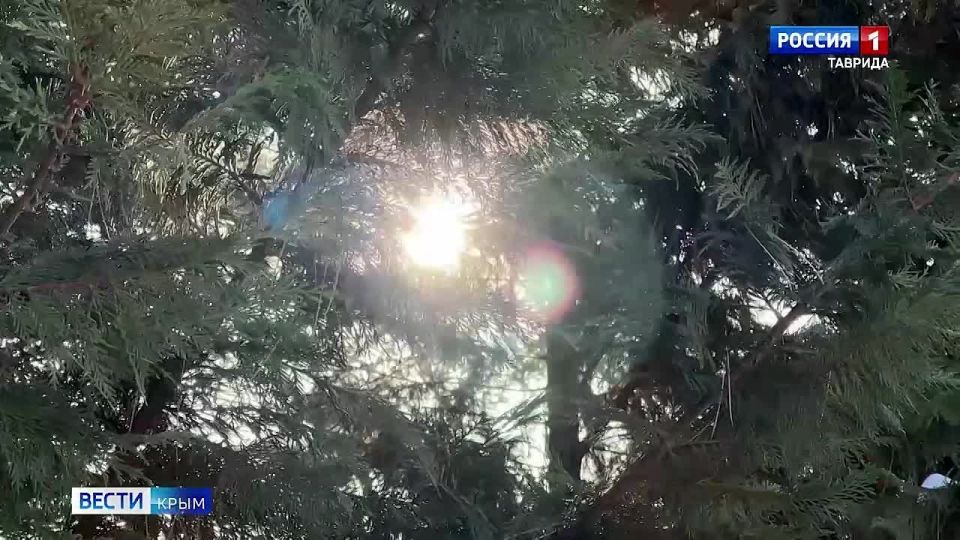 � ����� ������� ����� ���� ����� ����������