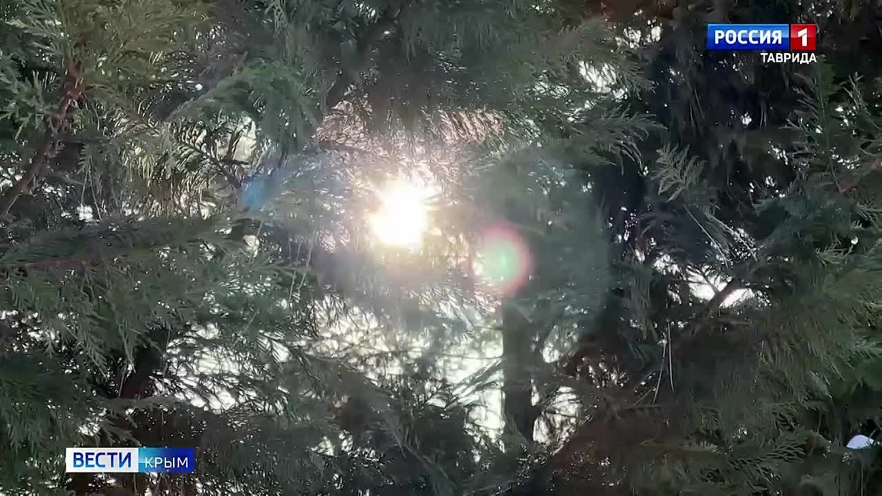 В Крыму выявили более пяти тысяч недостроев