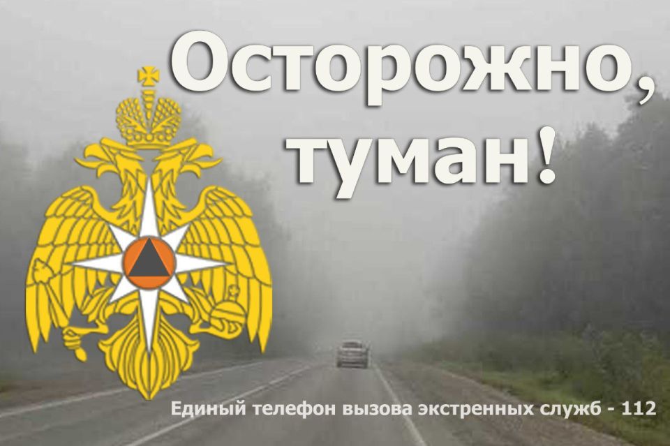 ���������� �������������� � ��������������� ������������� �� �. ����������� �� 25 ������ 2026 ����