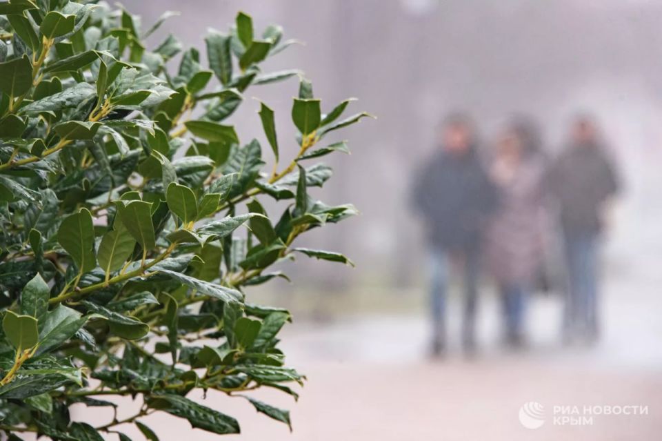 ����������� ������� ����� � ���������� 200-500 ������