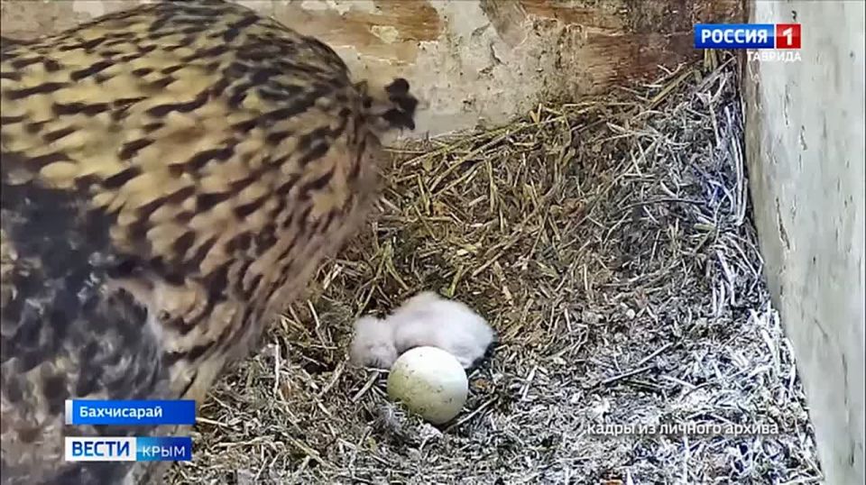 ��������� ������ ���������� �������� ��� ������������� ����: �� ���� ��������� ������ � ���� ���� ������ ������