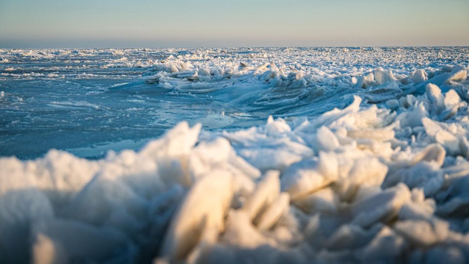 �������� ���� � ��� ���������� ������� ��������