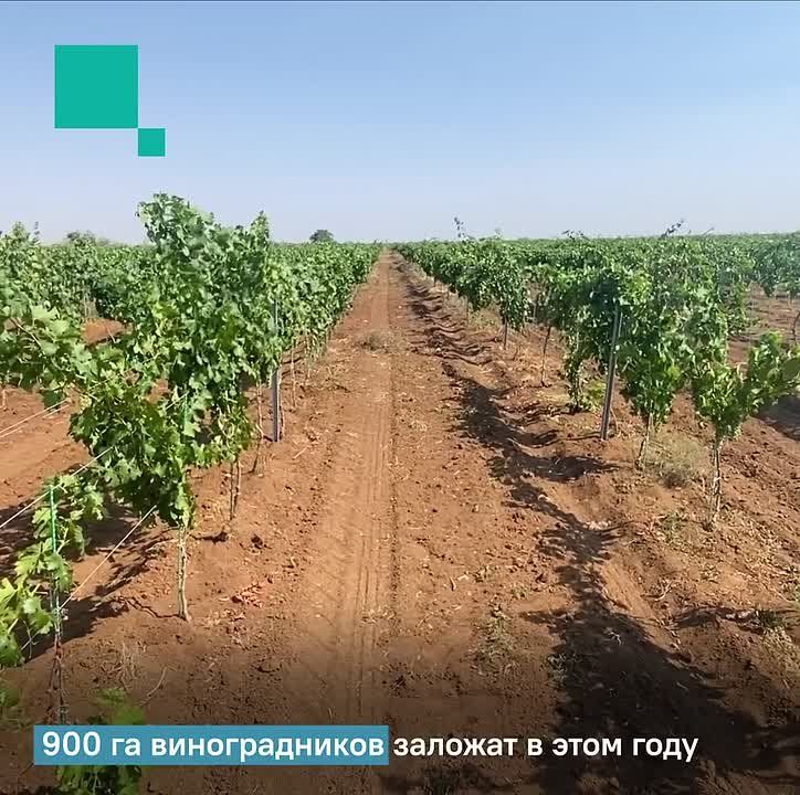 �������� ������� ��������. ������� ������ � ������ ������� ���� ������ ��� ��� � ����� ������������ ��������! ��� ���������� ����