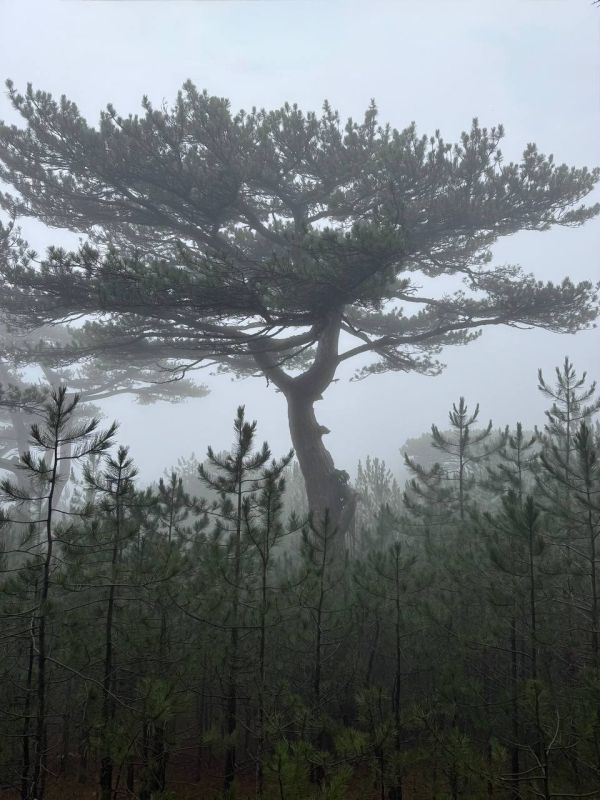 ���� ����: � ����� �����