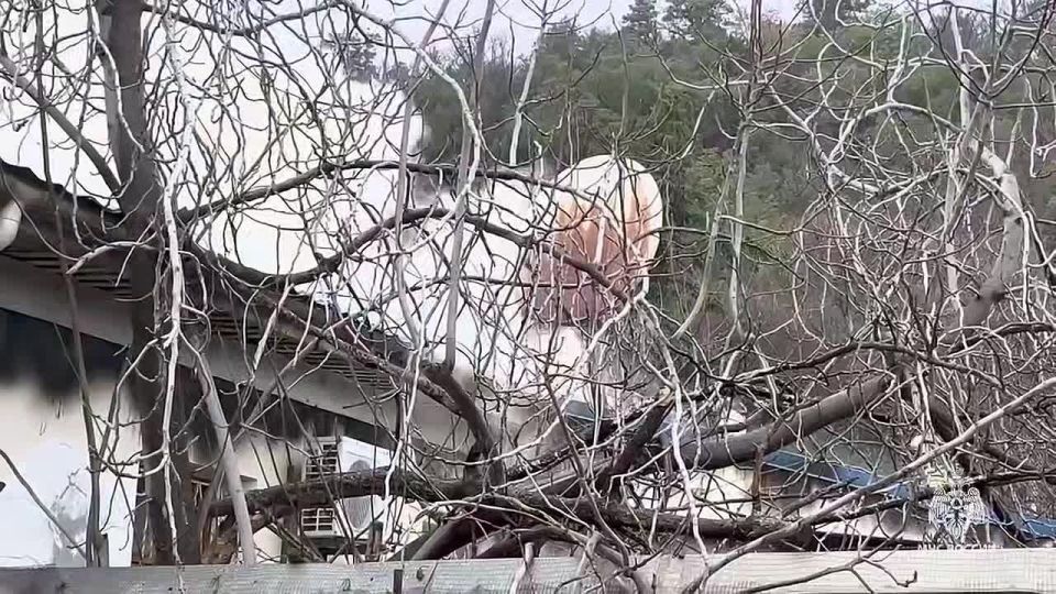 ��������������� ������������ ������������ ������������� ������ ��� �����