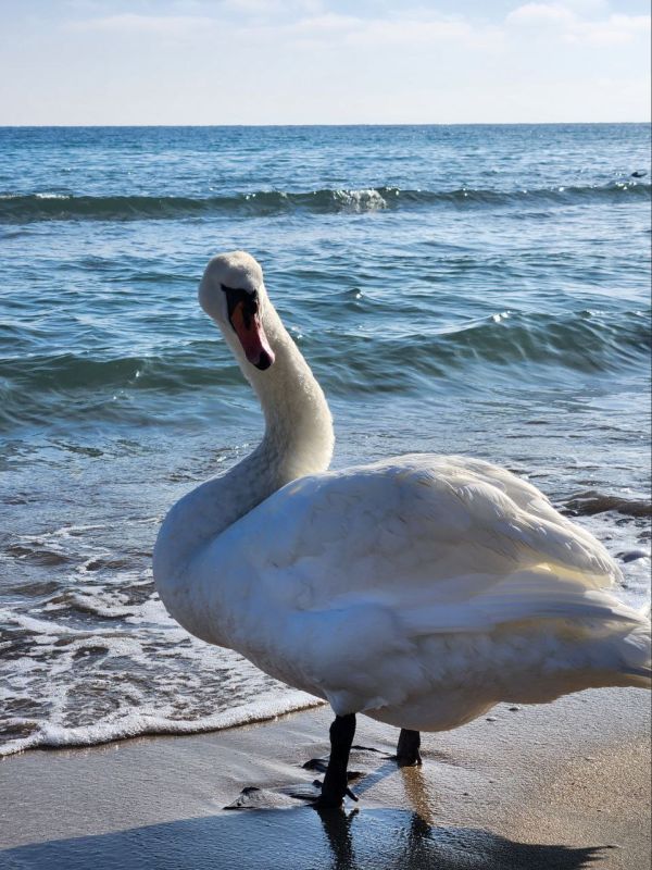 � ������� ���������� �������� �� ���������