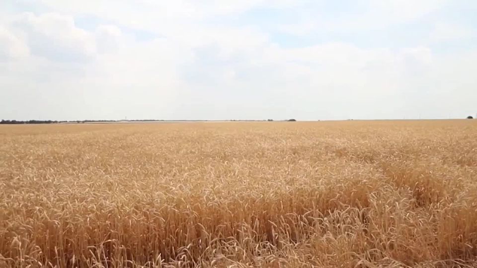 ��������� ������ �������� ������, ������� �������!