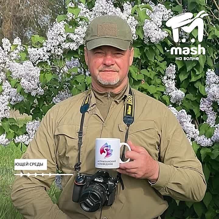 ������ ����������� �������-���� � ���� ��� ������������ "����������� �����" � � ���� ��� ������ �������