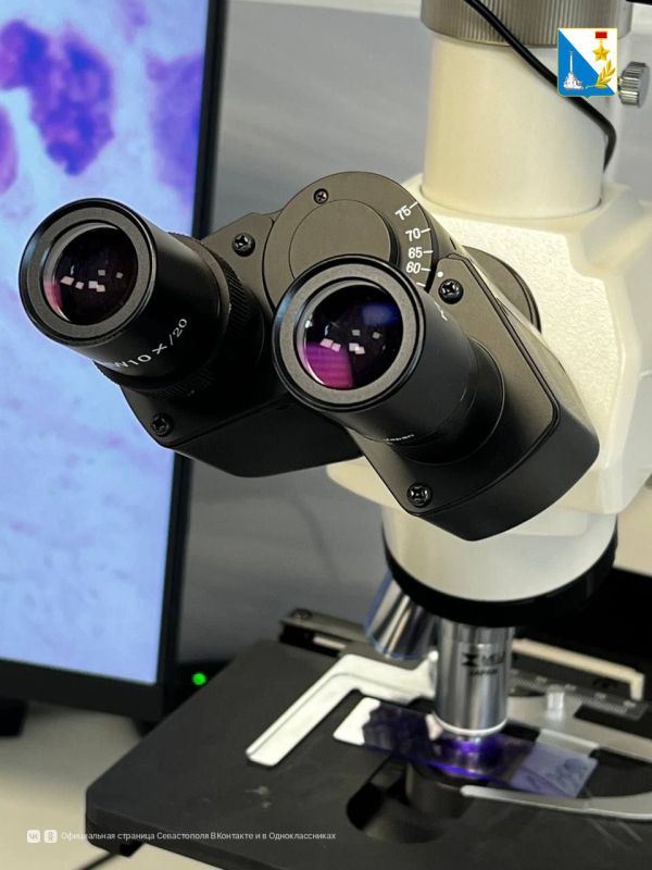 ��������������� �������������������� ��������� ������� ������ ����������� �������� �������� ������������ ������������