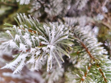 � ������ �����, �������!. ����� ���� ������ �������� � ��������� ����������, ������ ��� � ������� ��������