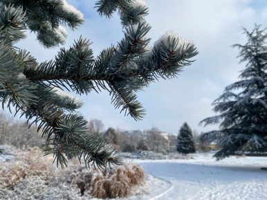 ������� ������ � ����� �� 26 ������