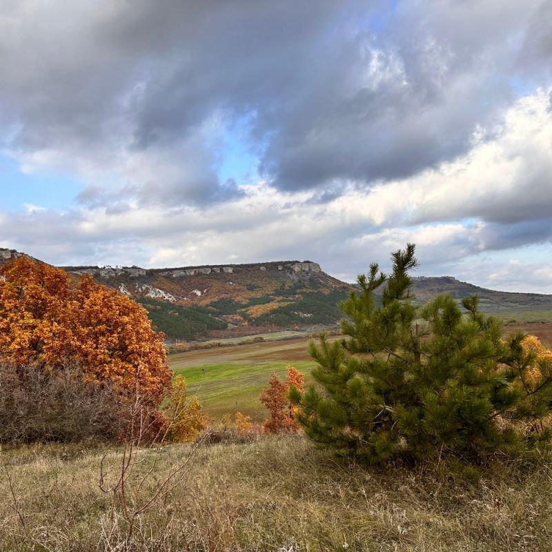 �������, ������, �����������