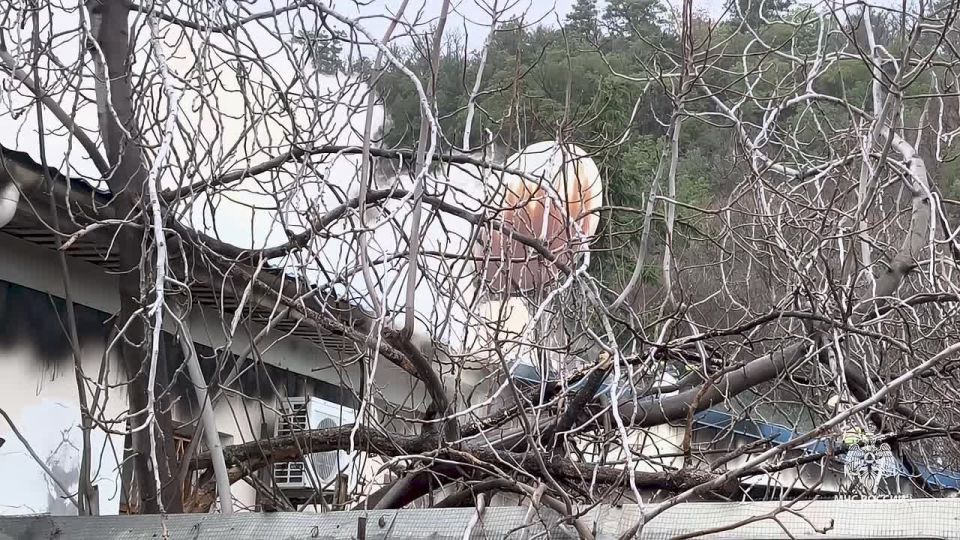 ��� �������� ���������� � ������ ������� ��� �����