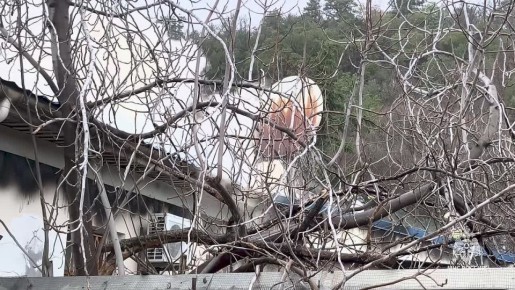 ��� �������� ���������� � ������ ������� ��� �����