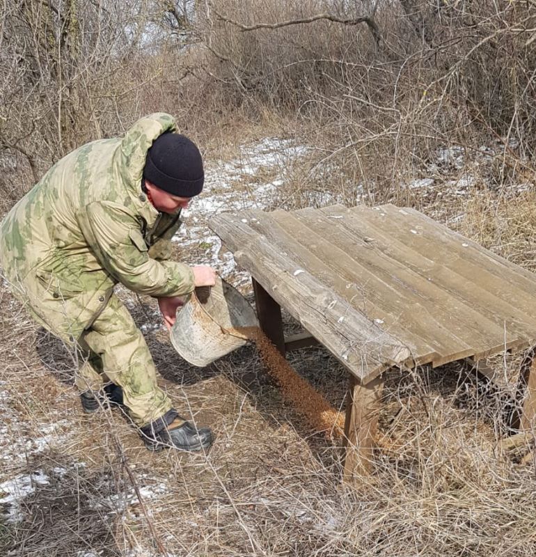 �������, ������, �����������