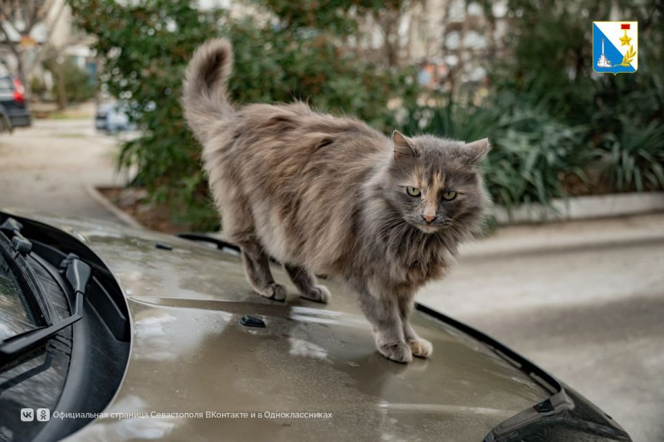 100 �������� ������� ����������� ������������ �� ���������� ����������