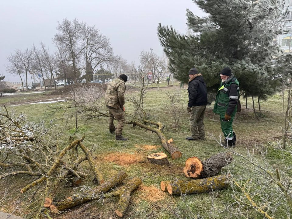 ���������� ��������� ���������� ���������� ��� ���������� ����� �� �������� ������������