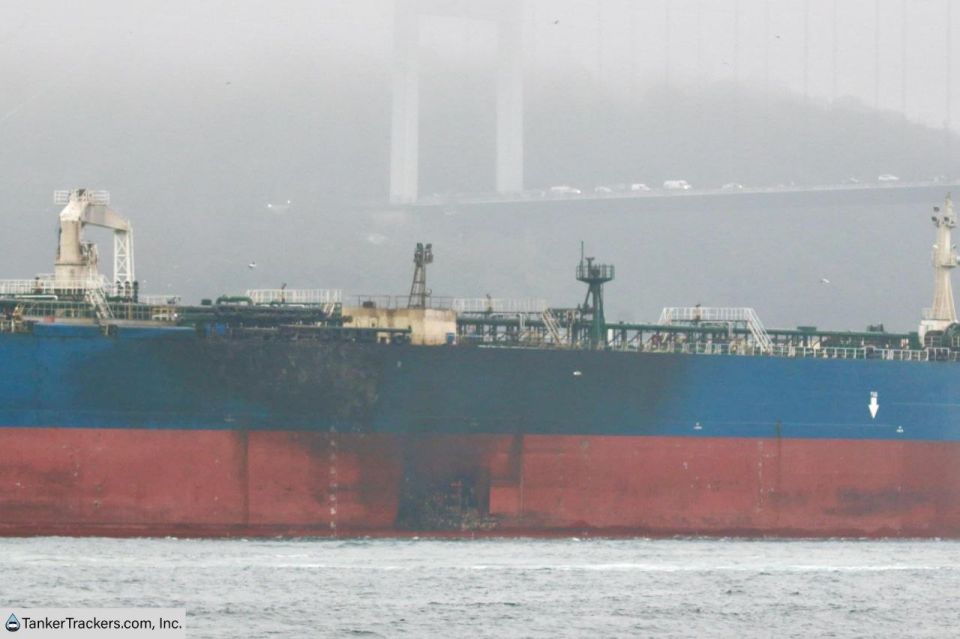 ������ URSUS MARITIMUS ������ ����� ����� ����� ������ � ���� ��������