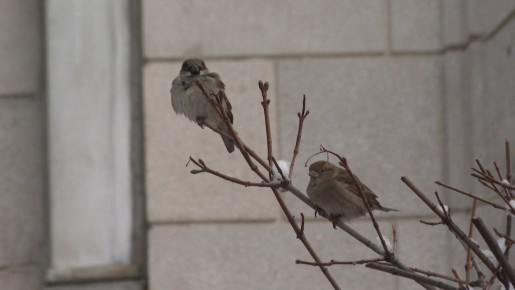 ������ ����, �����������!. #����������� #����