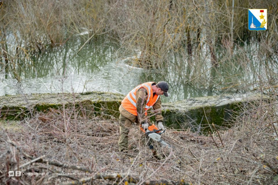 � ���� ������ ������ �������� ��������� �����-����������