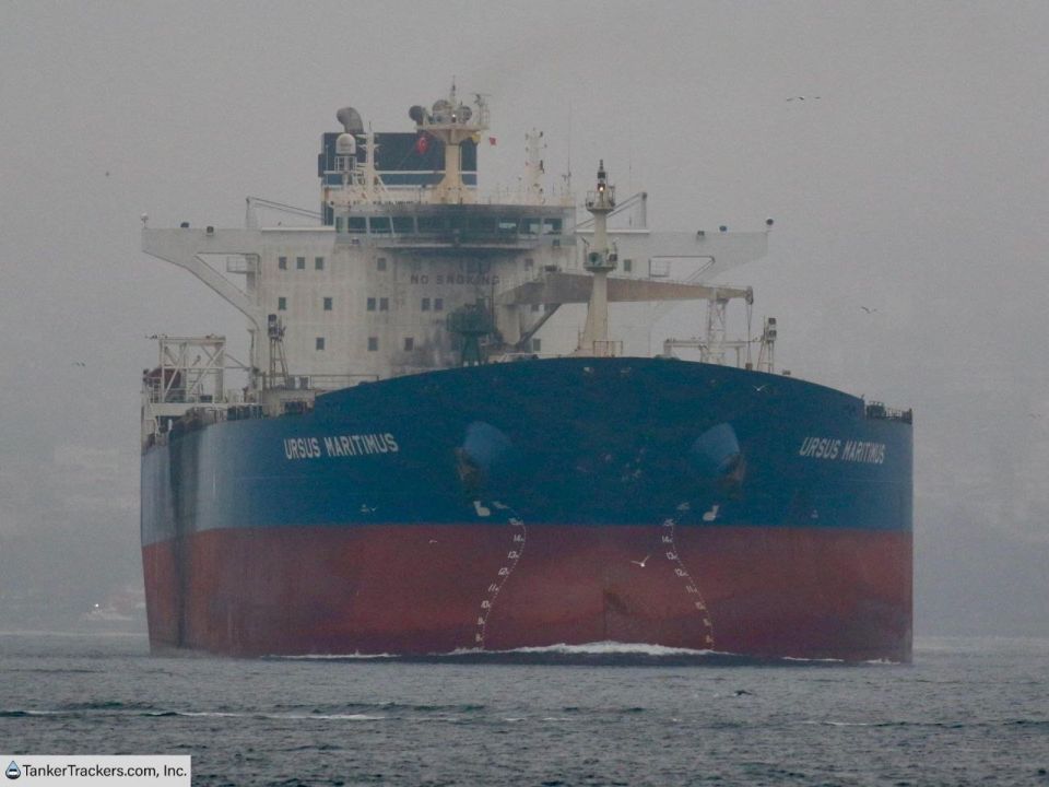 ������ URSUS MARITIMUS ������ ����� ����� ����� ������ � ���� ��������