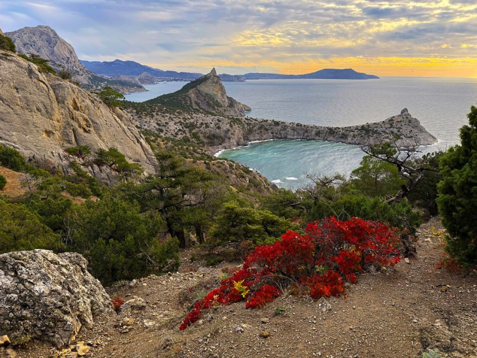 ��� ����� ���������� ������-����������� �������� ��������� ��� ����� � ��������