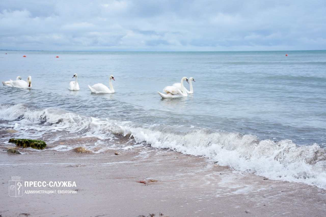 В Крыму усилится ветер. По данным Крымского управления по гидрометеорологии и мониторингу окружающей среды, днем и до конца суток 26 января, ночью 27 января на полуострове ожидается усиление восточного, юго-восточного ветра...