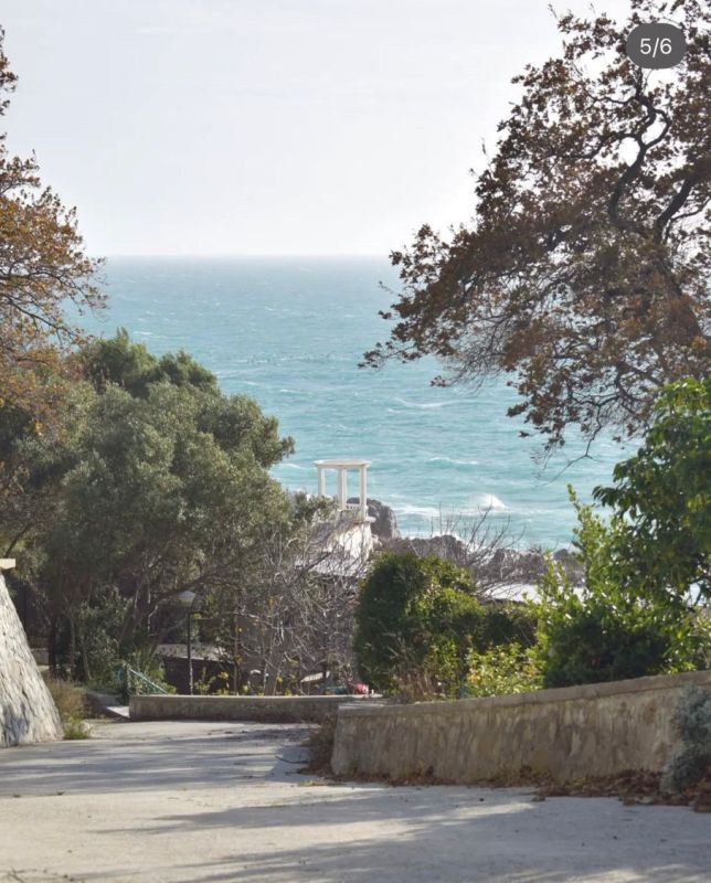 �������, ������, �����������