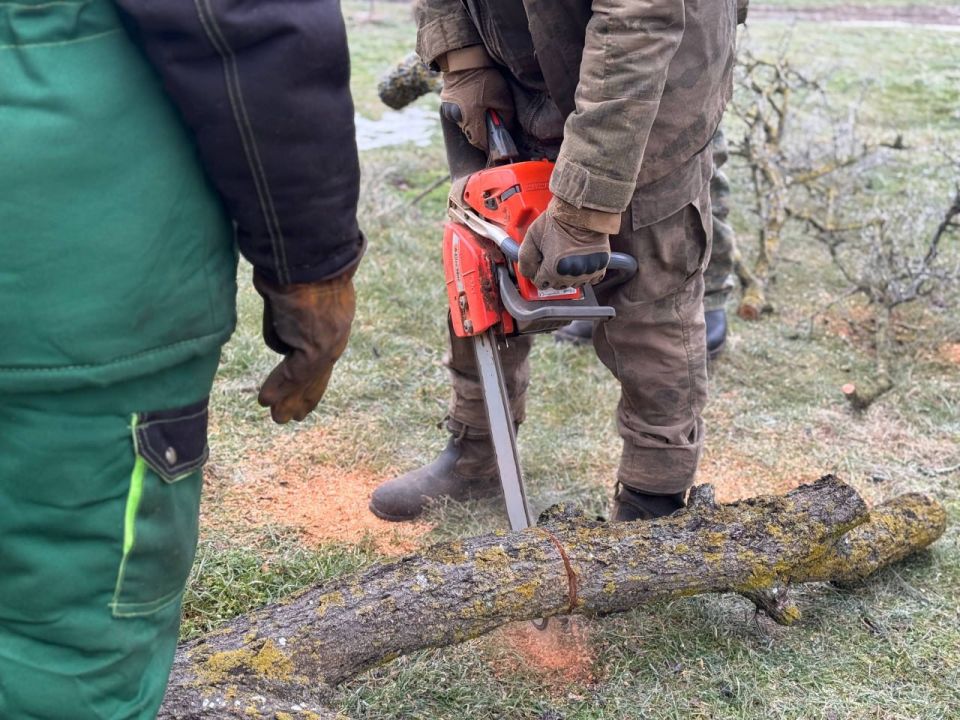 ���������� ��������� ���������� ���������� ��� ���������� ����� �� �������� ������������