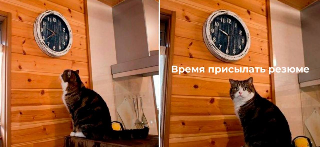 Представительство Международной медиагруппы "Россия сегодня" в Симферополе расширяется!