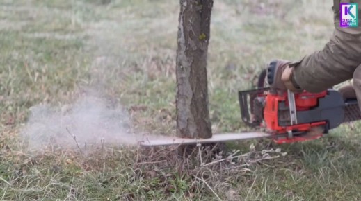 ���������� ��������� ���������� ���������� ��� ���������� ����� �� �������� ������������