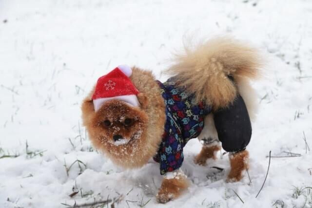 � ����� ����� ����� �� ������ �� ����������� ��������