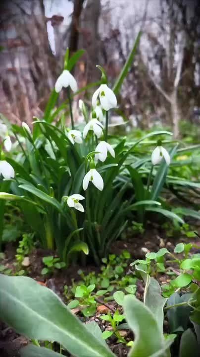 ������ � ����� �������� �����, ����������?