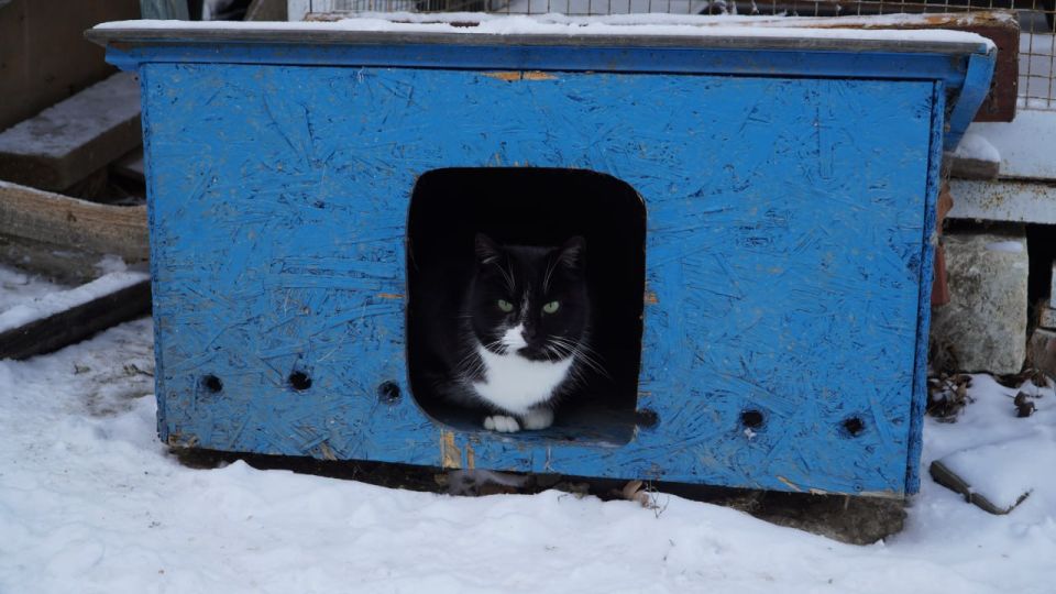 ��������� � �����: ���������� ������ ����� � ��������