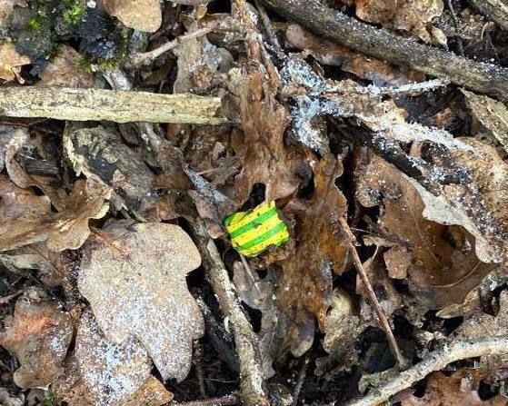 В Керчи вынесен приговор за незаконное хранение наркотических средств