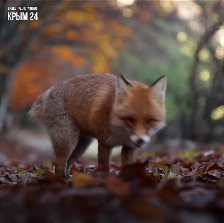 ����� � ���� ��� �����������, ����� ���� ����� ����������� ��� ������� � ������ � ������� ������ ���������