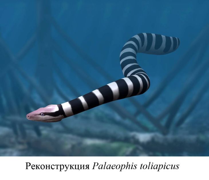 � ����� ������� ������� ������� ����� ��� ����� ���������� ������������ ������� ����, ����������� � ���� ��������