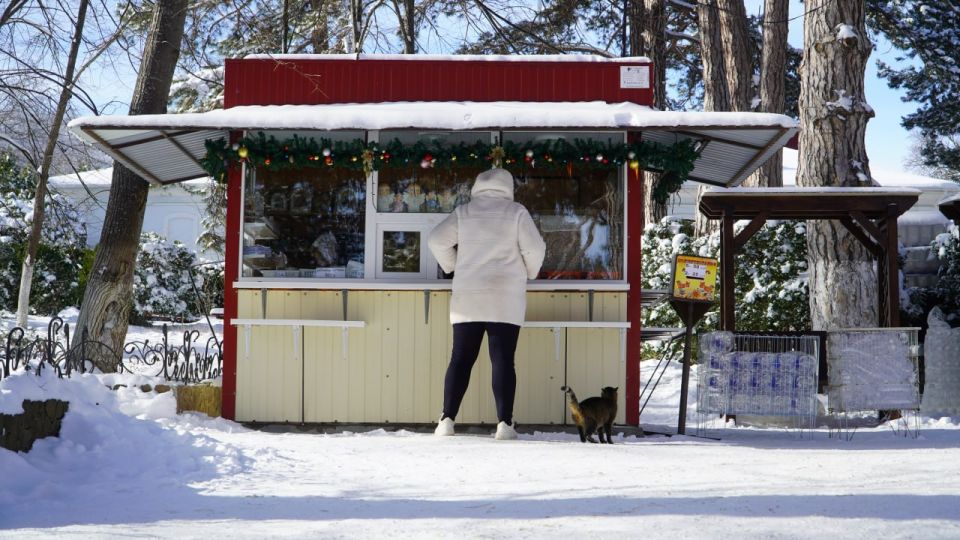 ��������� � �����: ���������� ������ ����� � ��������