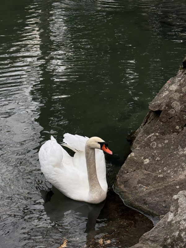 ����� ������ ��� ������� � ������ ����� 27 ������