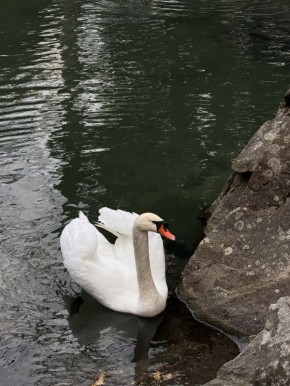 Какая погода ждёт жителей и гостей Крыма 27 января