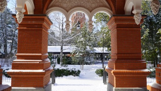 Монастырь в Крыму: уникальная дружба котов и монахинь