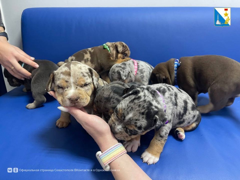 �� ������� ��� ��������������� ���������� ������� ����� 50 ������ �������� �� ����