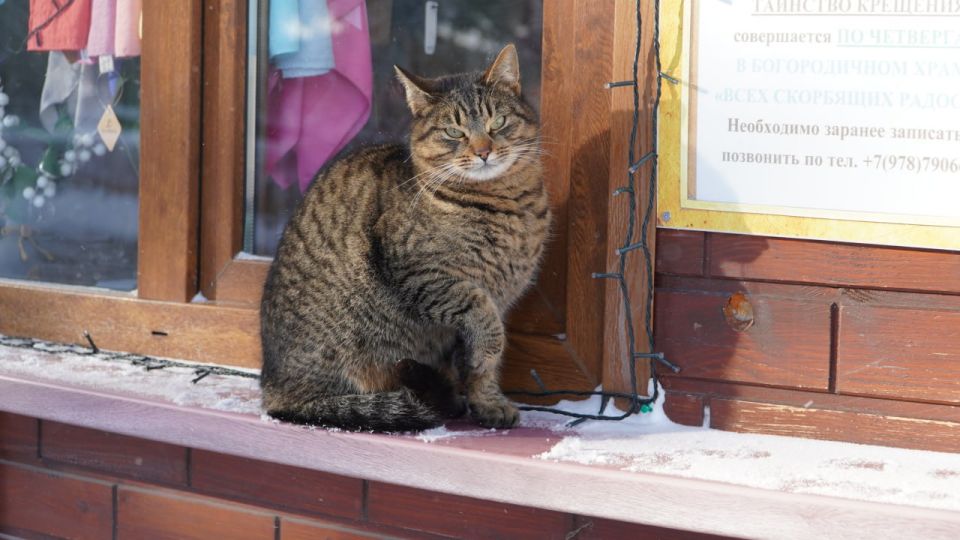 ��������� � �����: ���������� ������ ����� � ��������